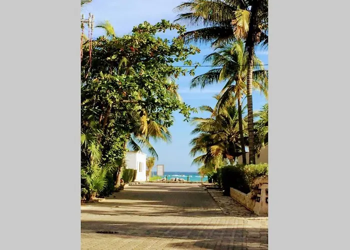 Steps To Ocean Huge Private Pool In Exclusive Fase 1 Playacar *